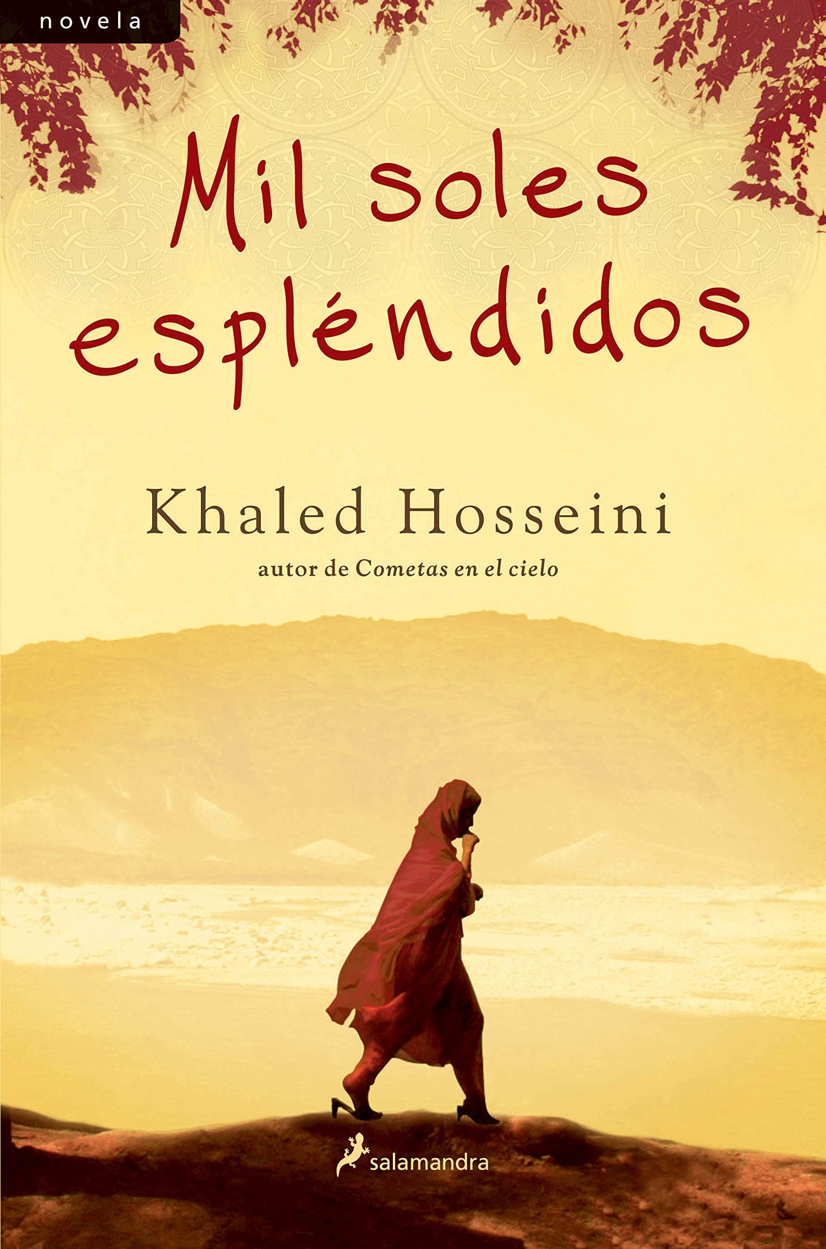 Portada de Mil Soles Espléndidos