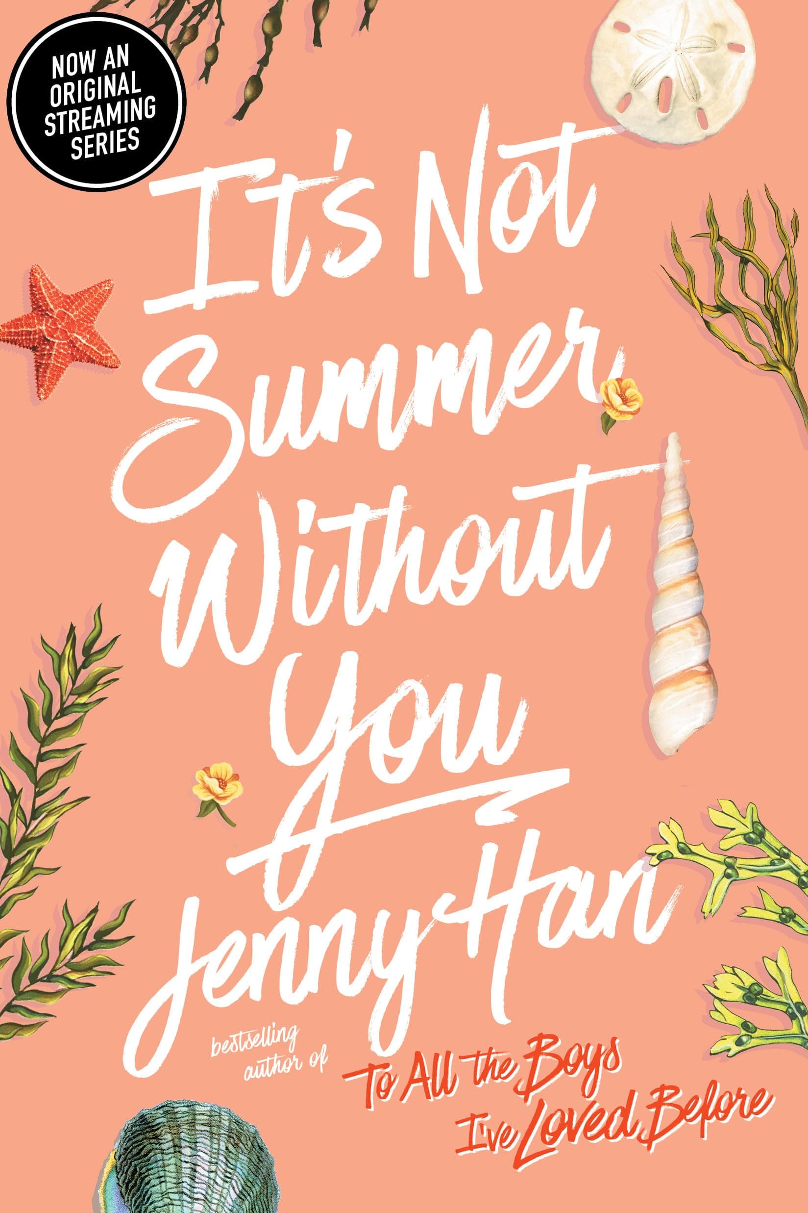 Portada de It's Not Summer Without You: 2 (Summer I Turned Pretty, The)