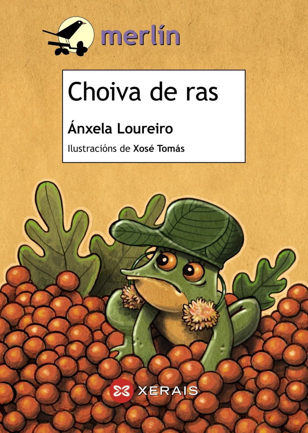 Portada de Choiva de ras (INFANTIL E XUVENIL - MERLÍN - De 9 anos en diante)