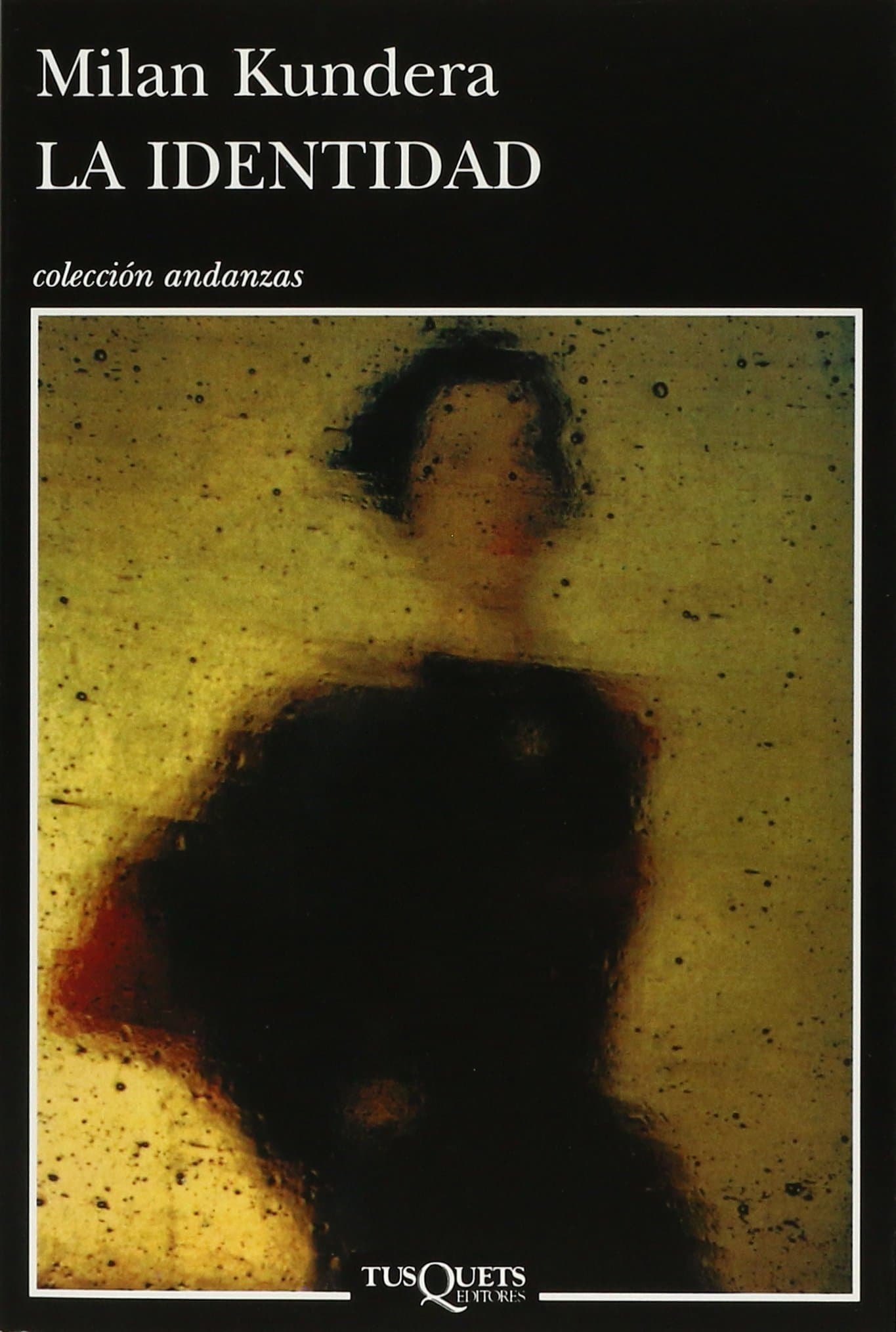 Portada de La identidad: 335 (Andanzas)