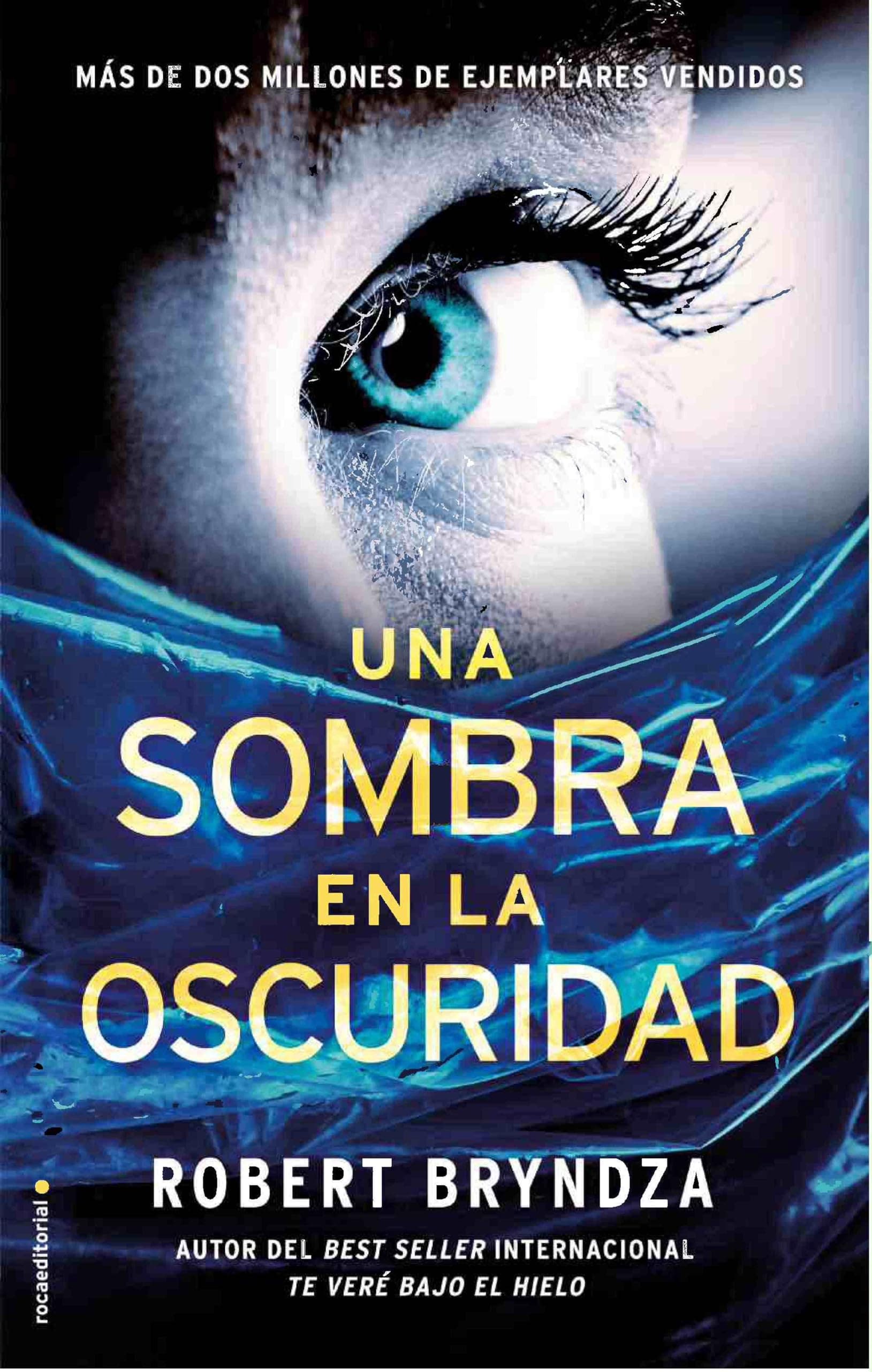 Portada de Una sombra en la oscuridad (Serie Erika Foster 2) (Criminal)