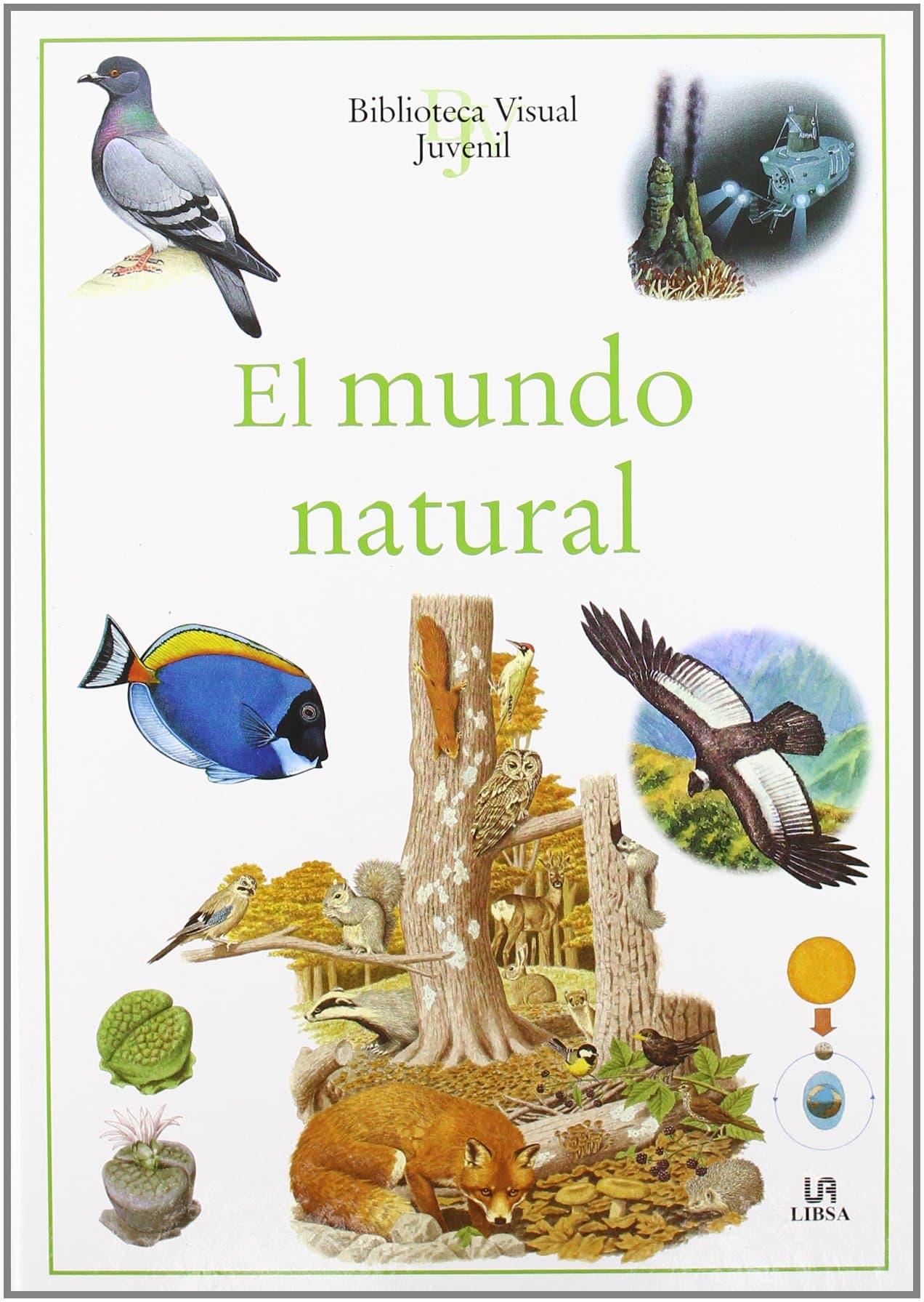 Portada de El Mundo Natural (Biblioteca Visual Juvenil)
