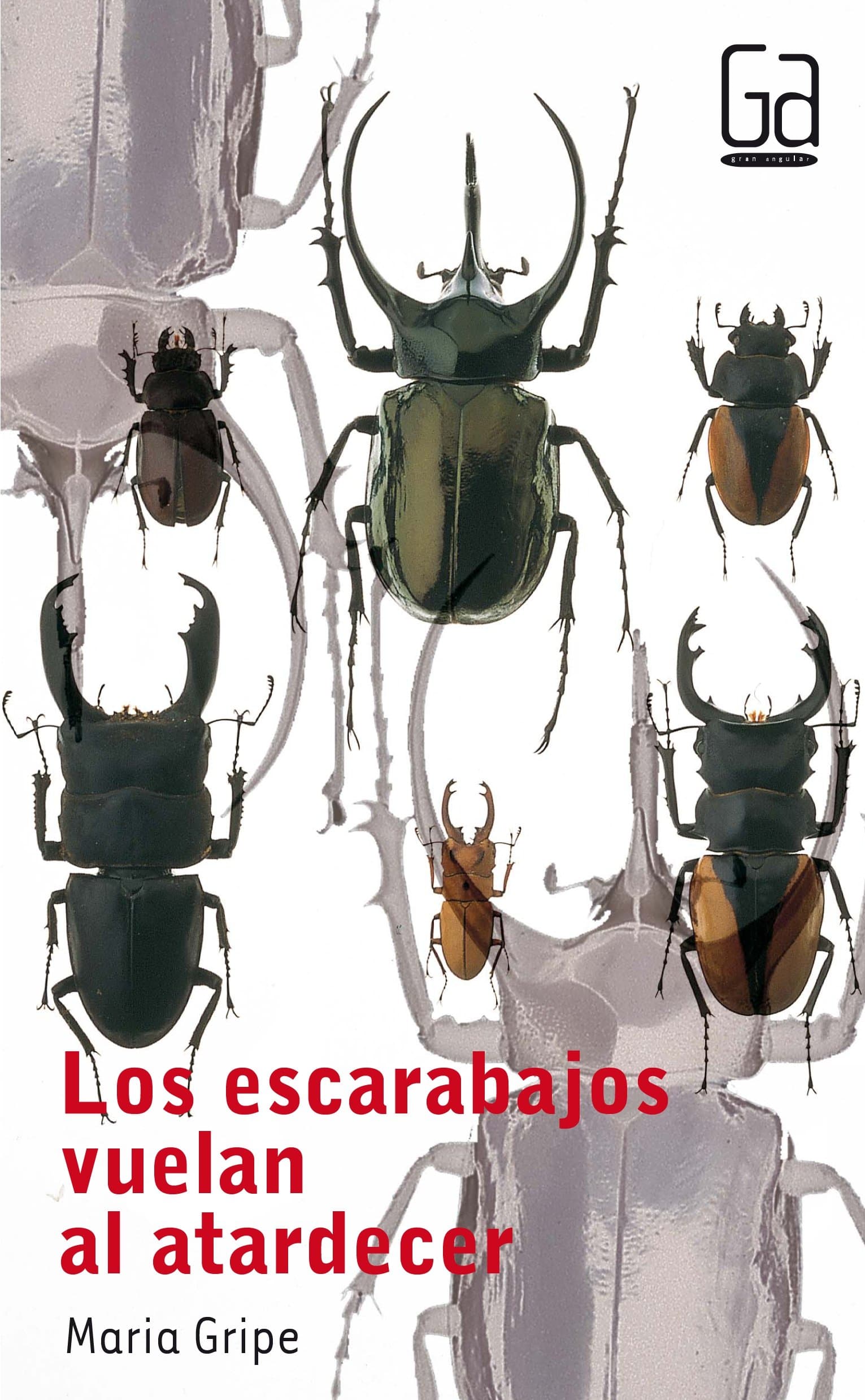 Portada de Los escarabajos vuelan al atardecer: 31 (Gran Angular)