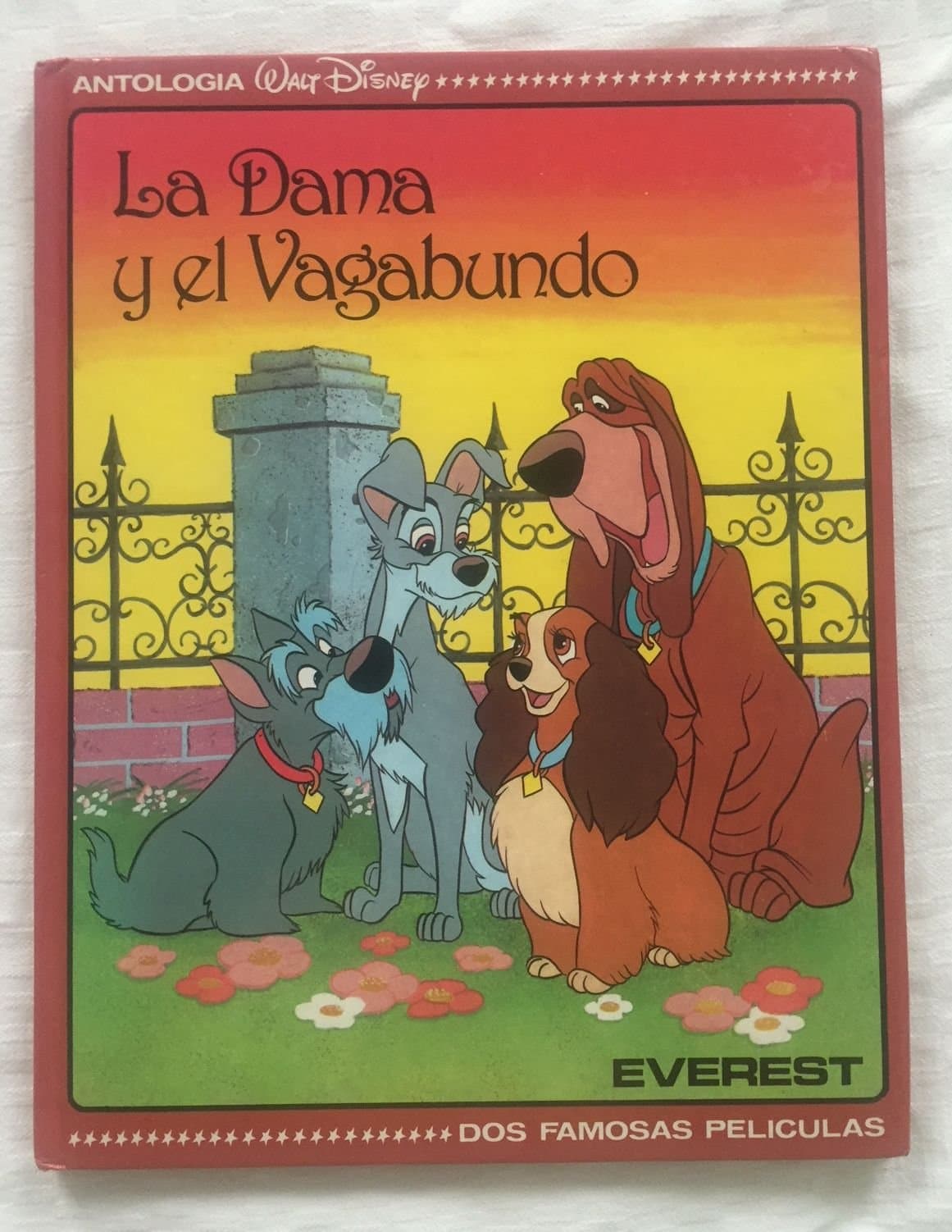 Portada de Dama y el vagabundo, el