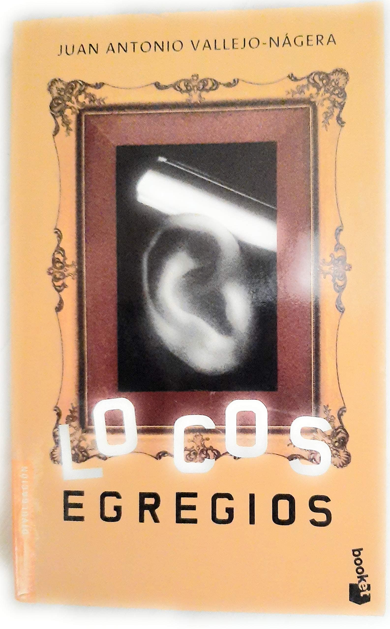 Portada de Locos egregios
