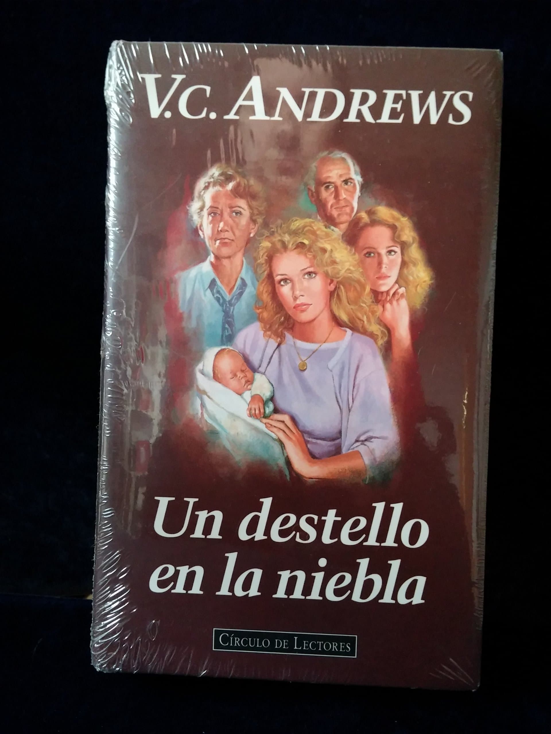 Portada de Un destello en la niebla