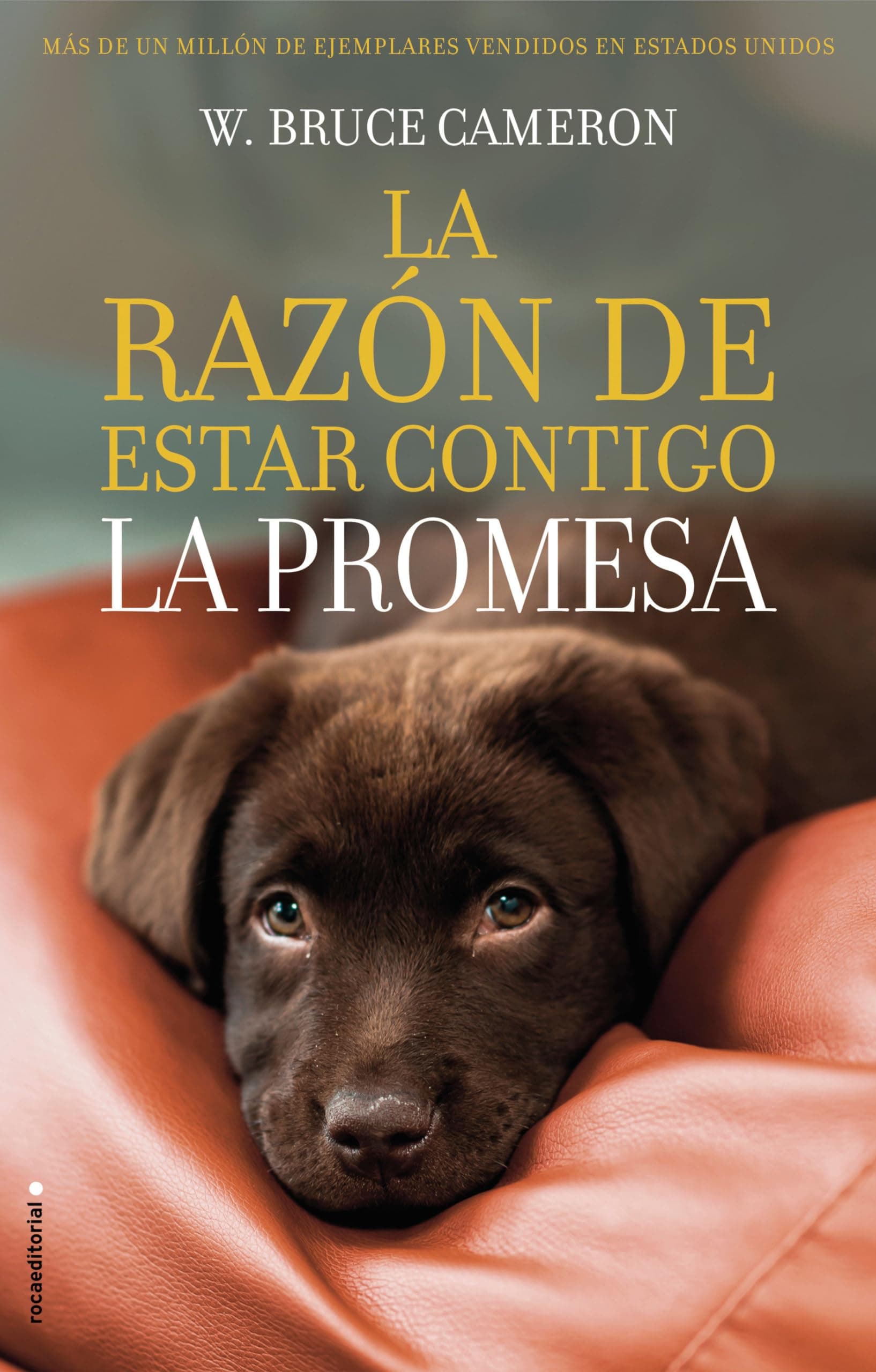 Portada de La razón de estar contigo 3 - La promesa (Novela)