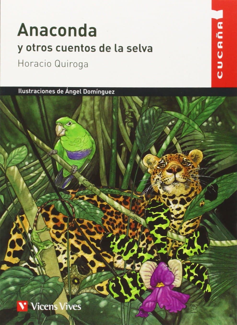 Portada de Anaconda Y Otros Cuentos N/c (Colección Cucaña) - 9788431660055