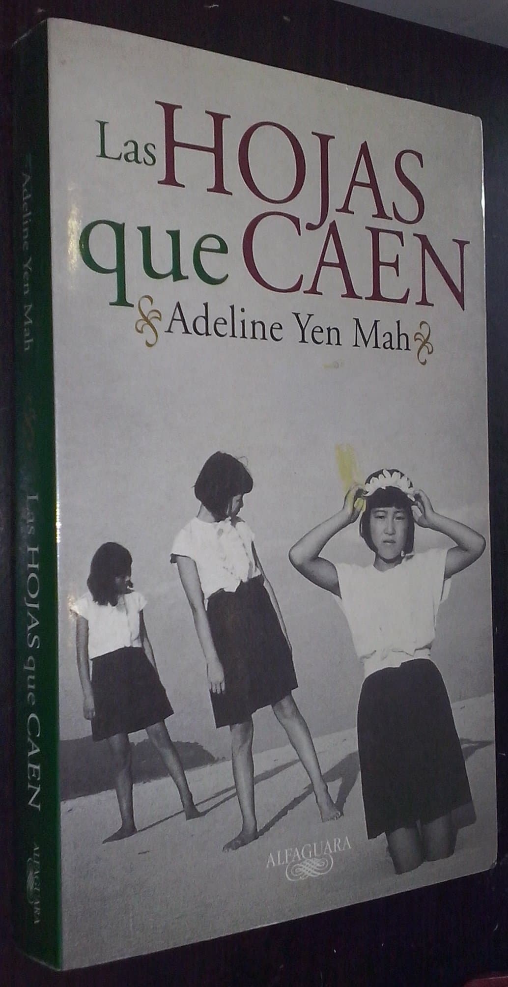 Portada de Las hojas que caen