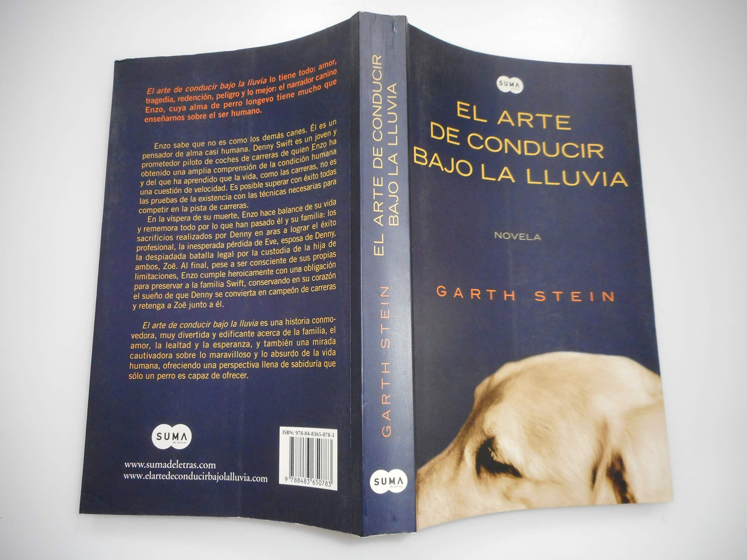 Portada de ARTE DE CONDUCIR BAJO LA LLUVIA (SIN COLECCION)