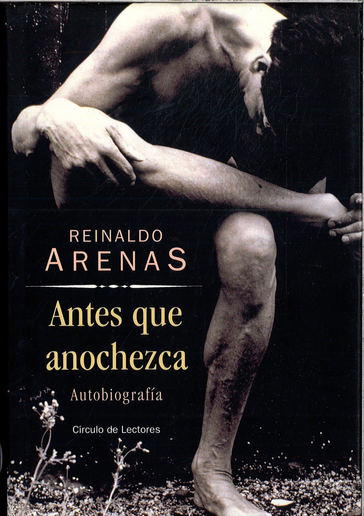 Portada de Antes que anochezca