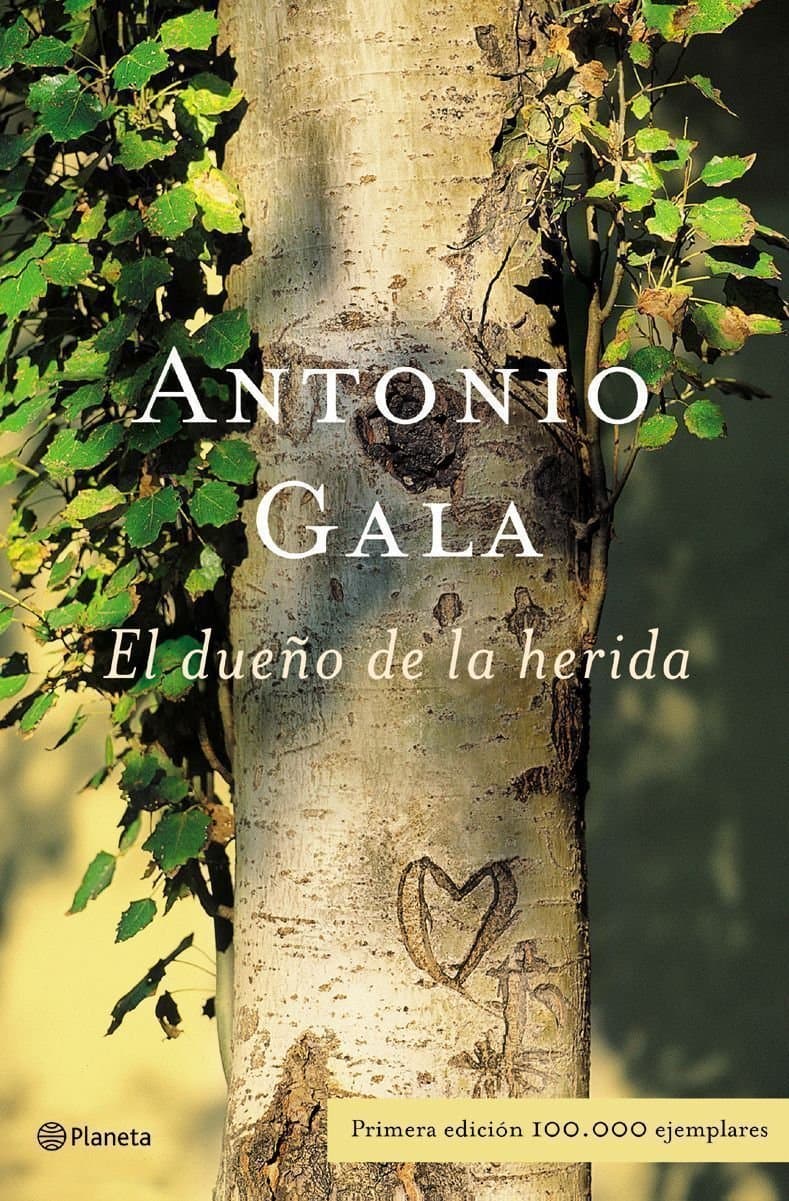 Portada de El dueño de la herida (Autores Españoles e Iberoamericanos)