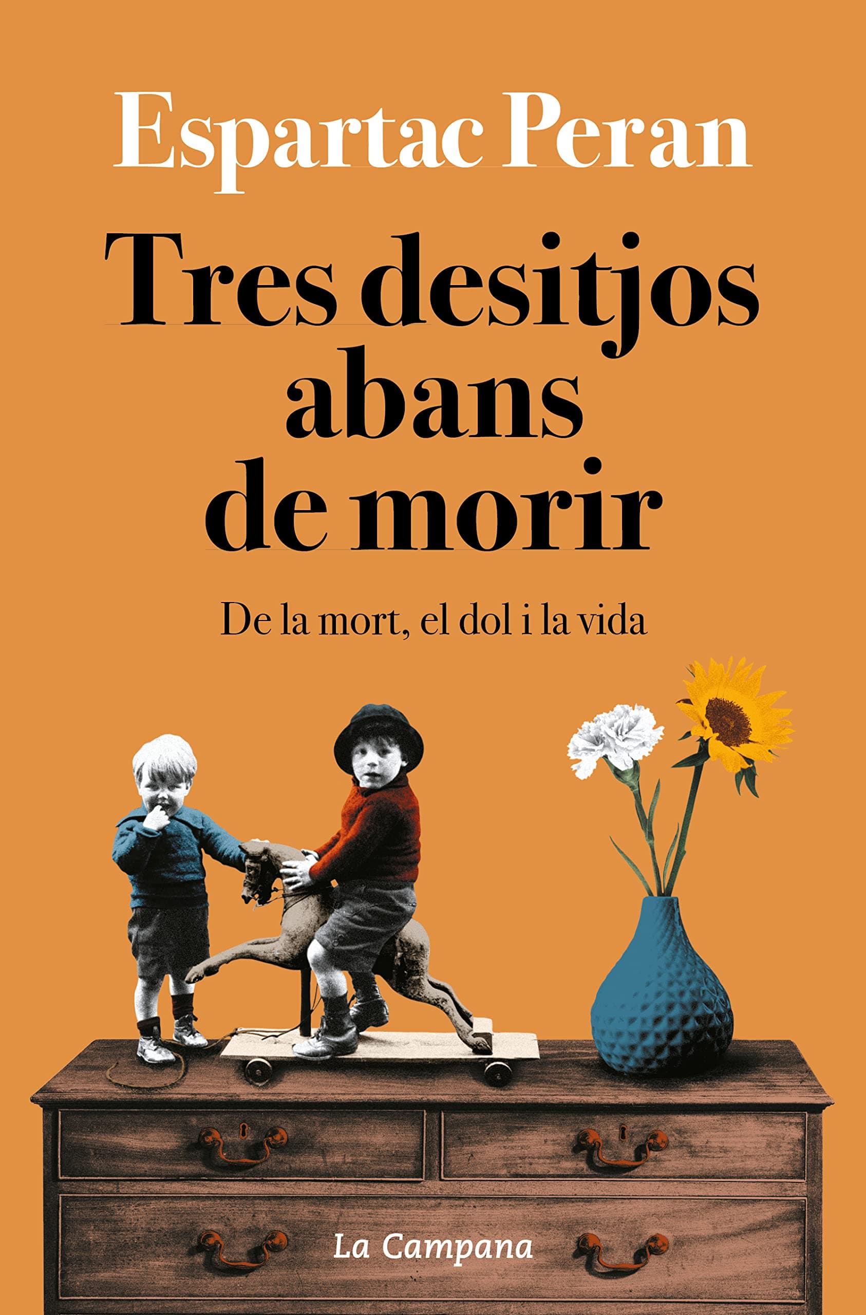 Portada de Tres desitjos abans de morir: De la mort, el dol i la vida (Divulgació)