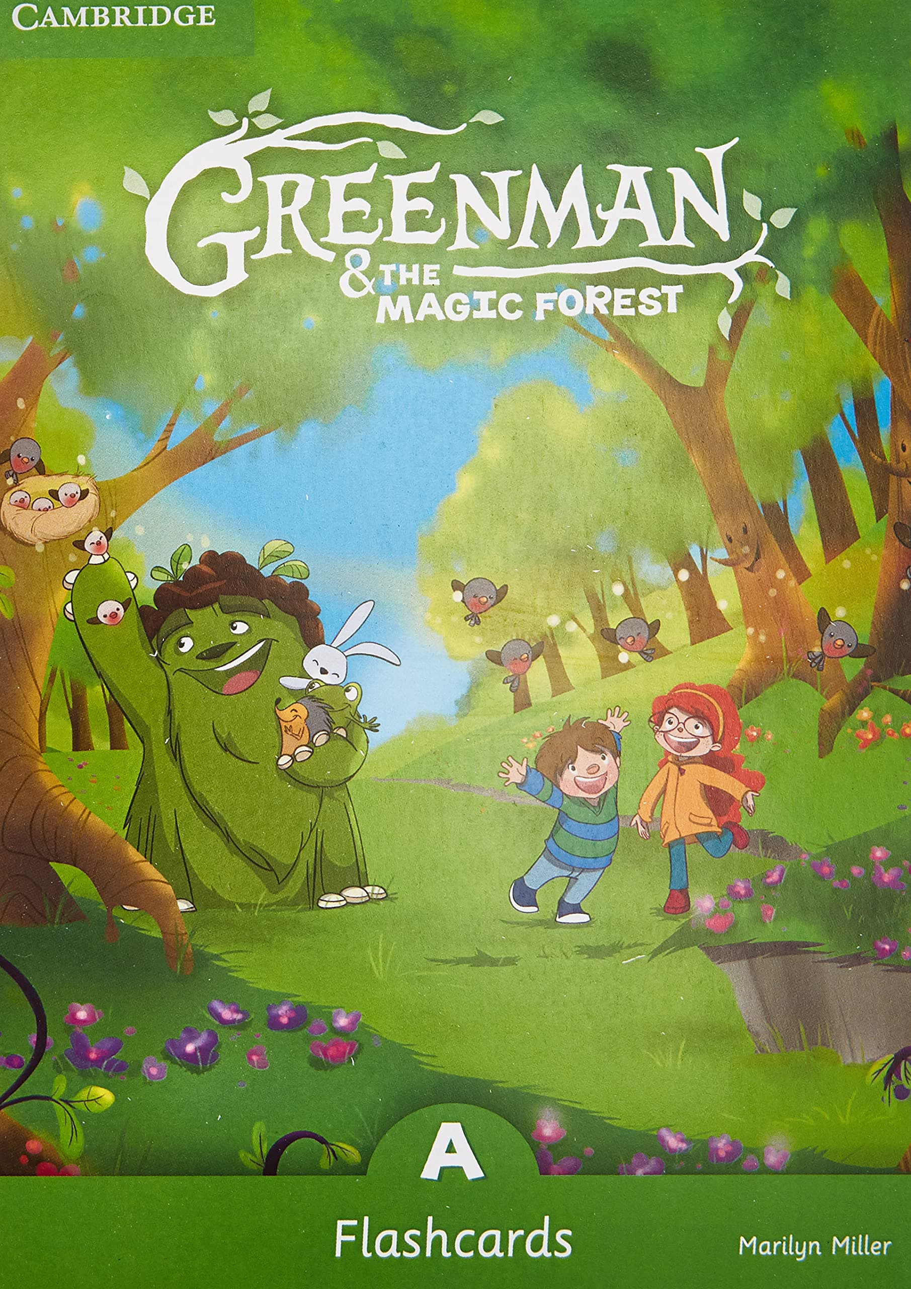 Portada de Greenman and the Magic Forest A Flashcards (Pack of 48) - 9788490368312