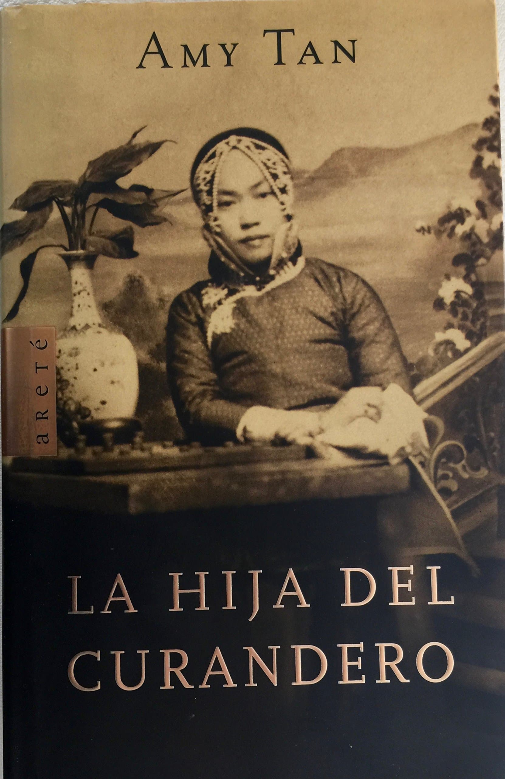 Portada de LA HIJA DEL CURANDERO