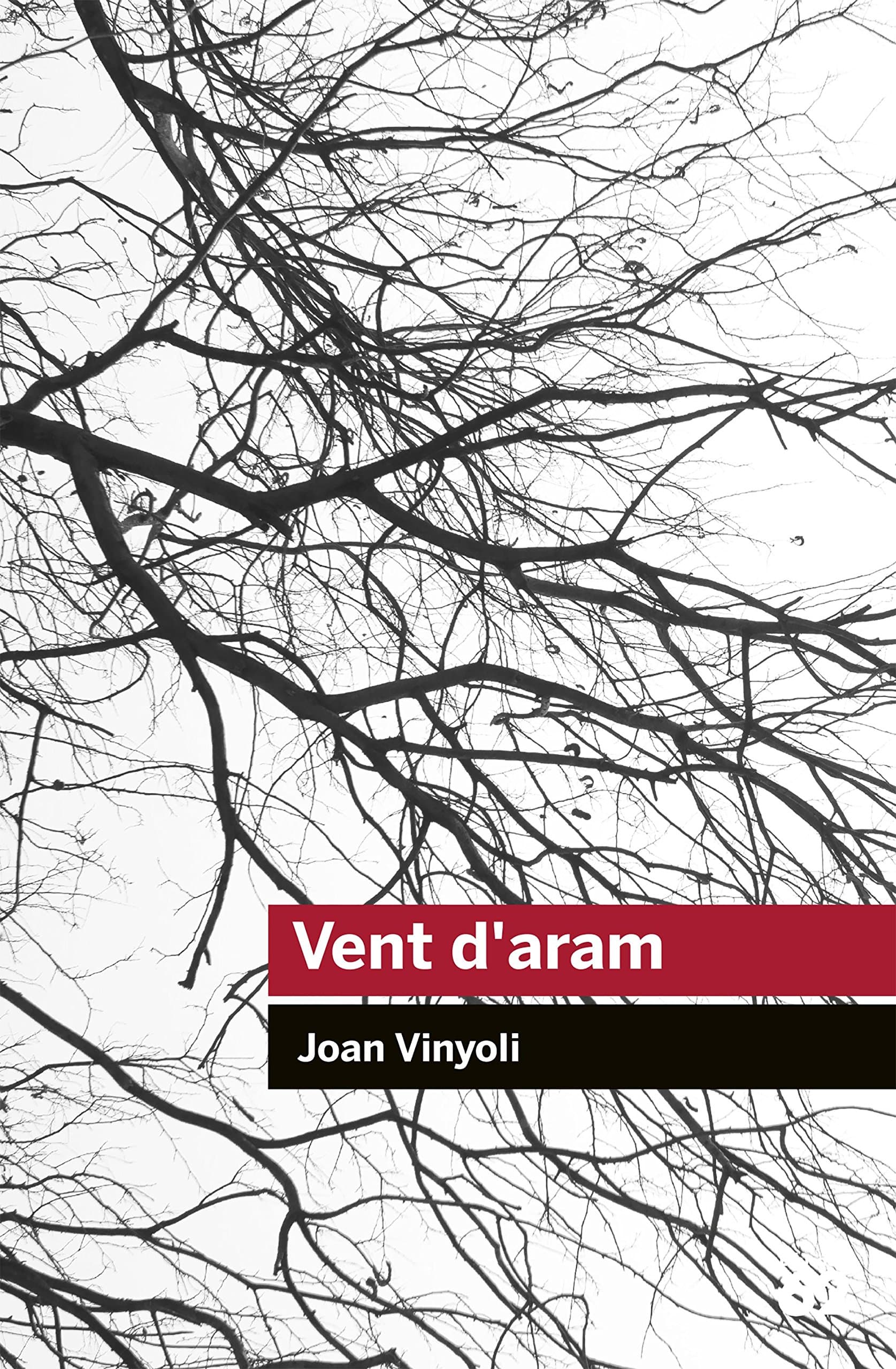 Portada de Vent d'aram (Educació 62)