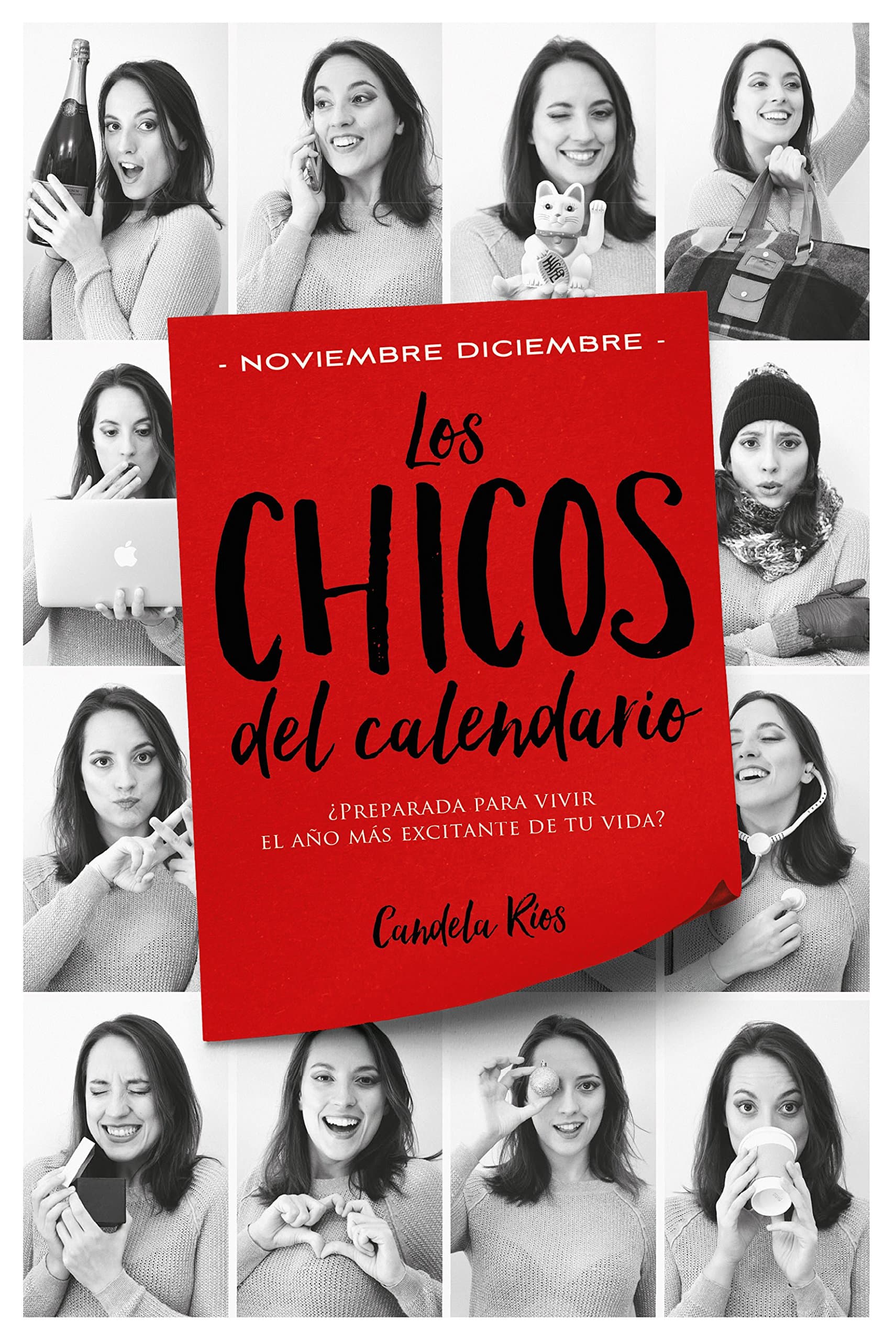 Portada de Los chicos del calendario 5: Noviembre y diciembre (Titania sombras)