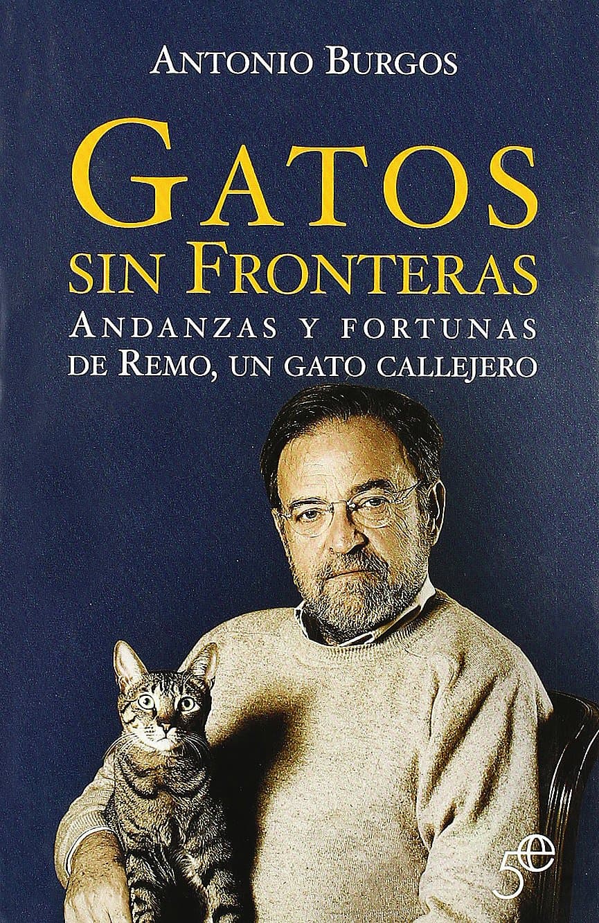 Portada de GATOS SIN FRONTERAS VºANIVERSARIO