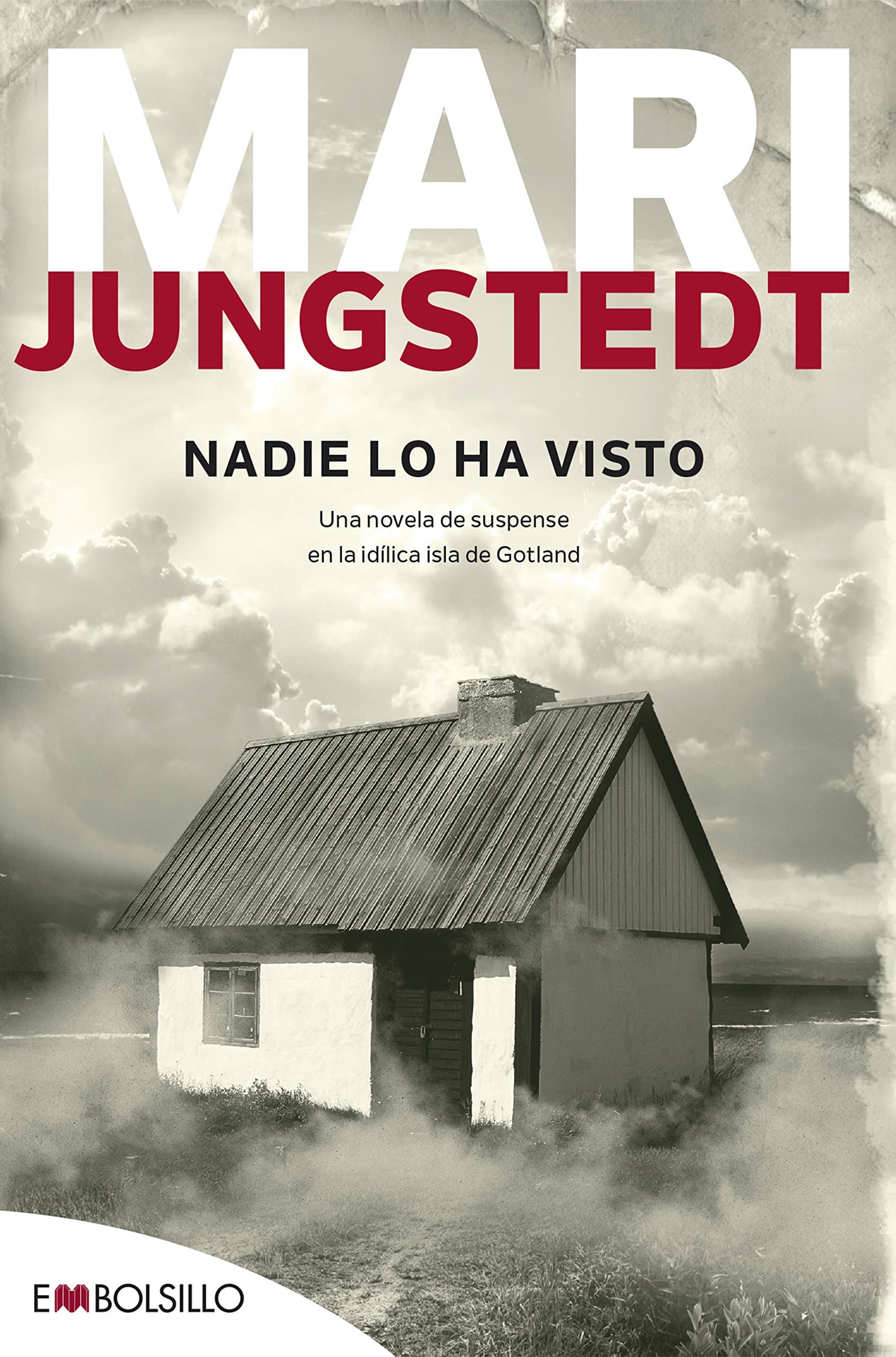 Portada de Nadie lo ha visto