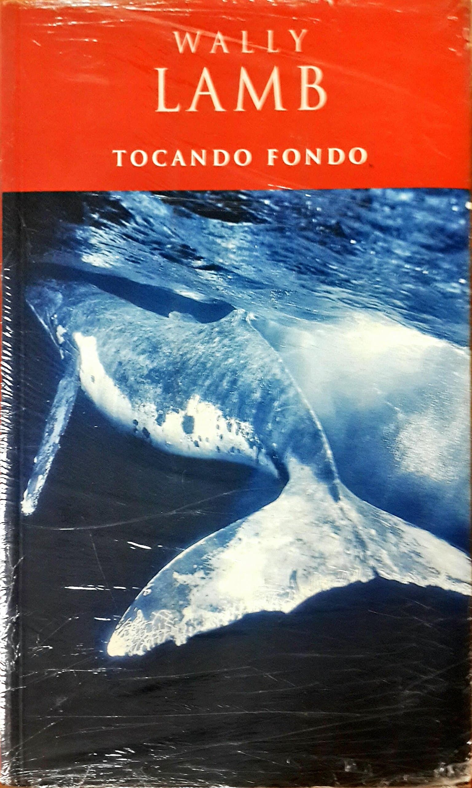 Portada de Tocando fondo