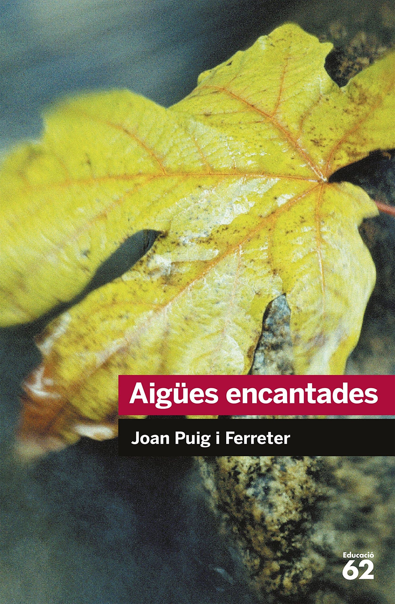 Portada de Aigües encantades: 30 (Educació 62)