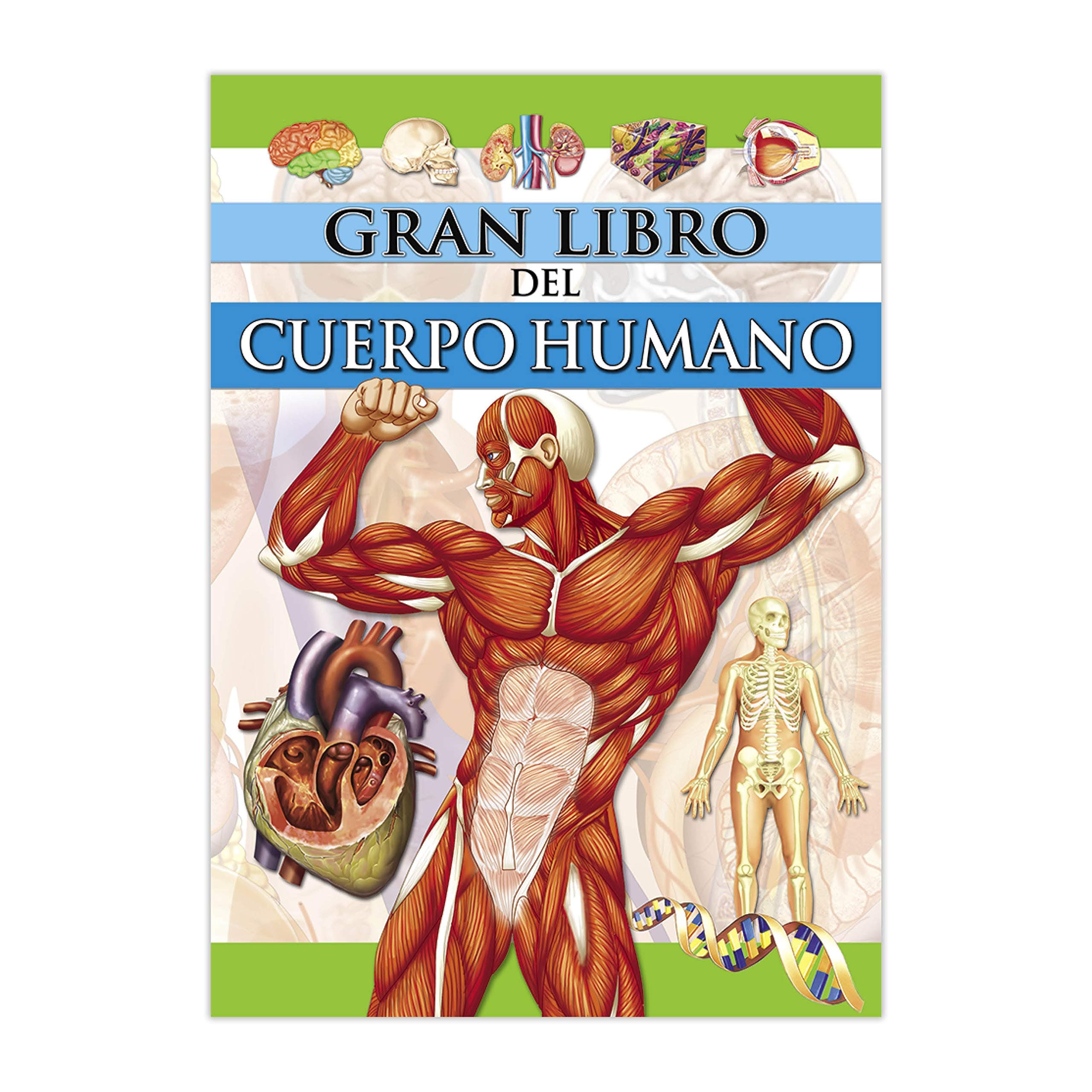 Portada de Saldaña El Gran Libro Cuerpo Humano 160 pg 20x28