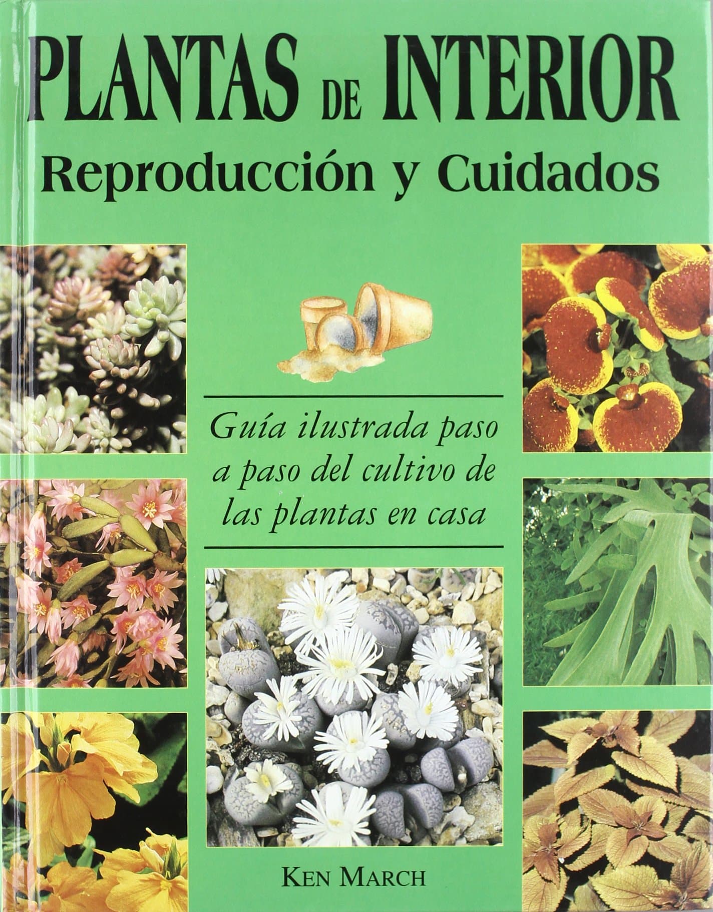 Portada de PLANTAS DE INTERIOR-REPRODUCC.Y CUIDADOS (SIN COLECCION)