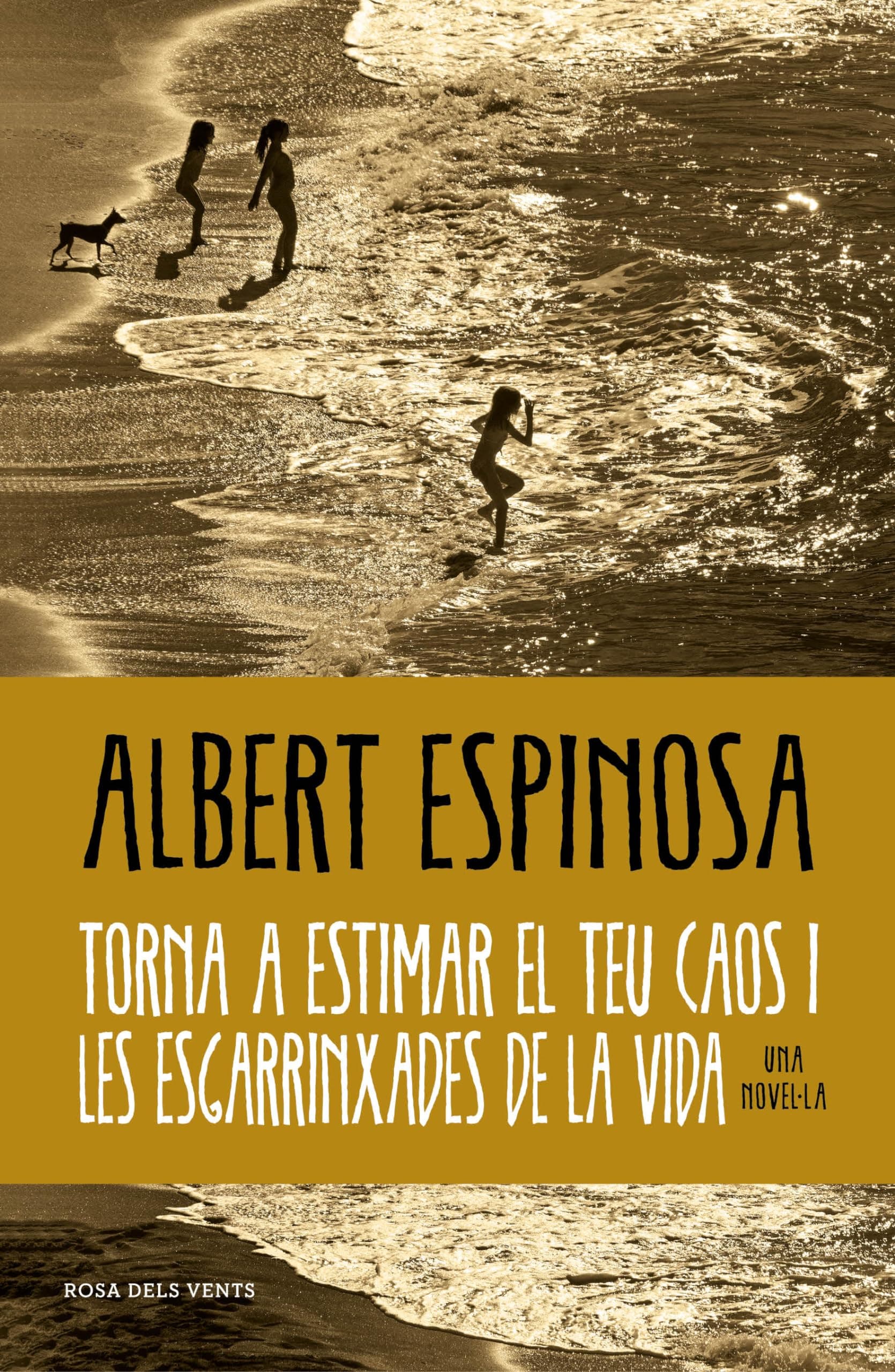 Portada de Torna a estimar el teu caos i les esgarrinxades de la vida (Albert Espinosa)