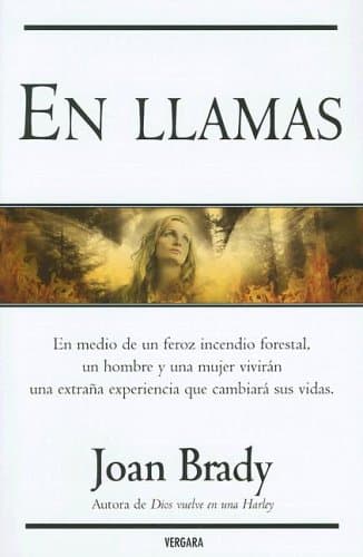 Portada de EN LLAMAS: 00000 (VERGARA MILLENIUM)