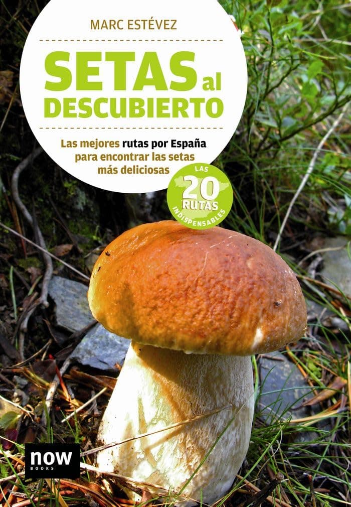 Portada de Setas Al Descubierto