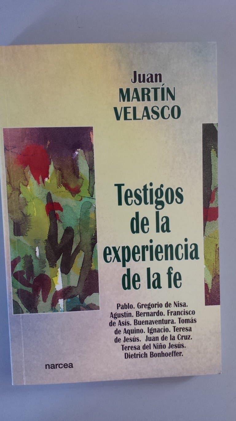 Portada de TESTIGOS EXPERIENCIA FE: Pablo. Gregorio de Nisa. Agustín. Bernardo. Francisco de Asís. Buenaventura. Tomás de Aquino. Ignacio. Teresa de Jesús. Juan ... Dietrich Bonhoeffer: 208 (Espiritualidad)
