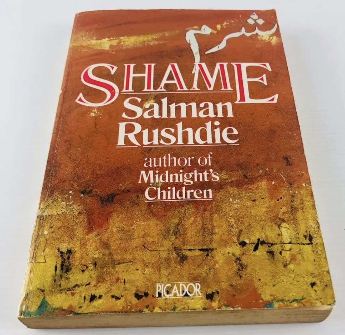 Portada de Shame (Picador Books)