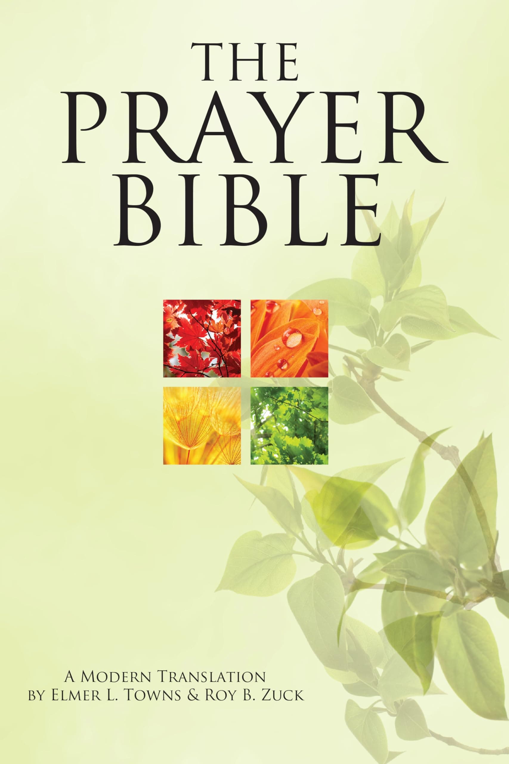 Portada de The Prayer Bible: A Modern Translation