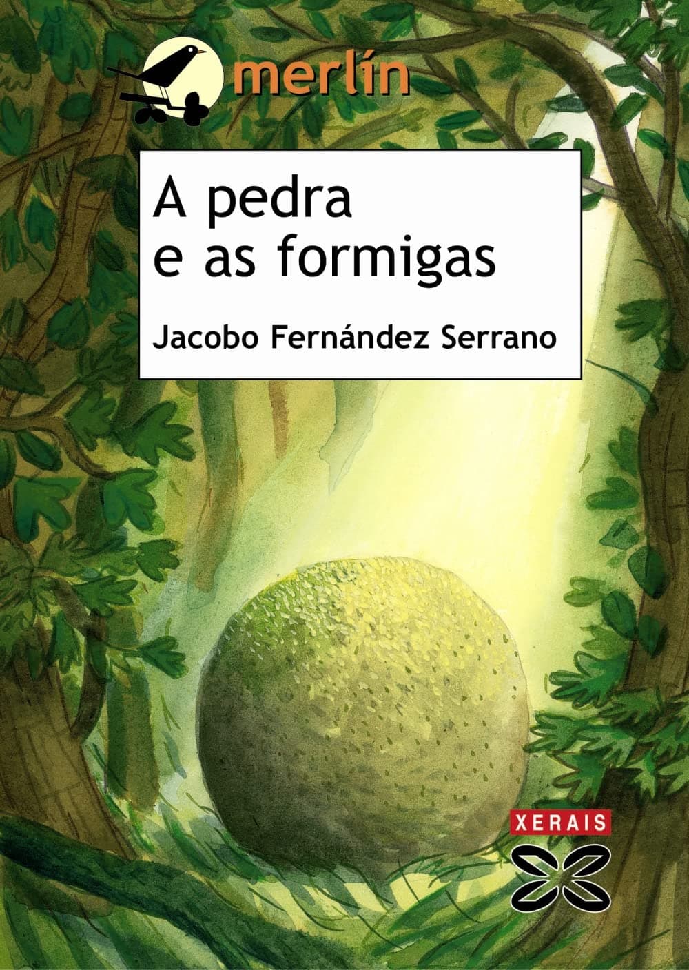 Portada de A pedra e as formigas (INFANTIL E XUVENIL - MERLÍN - De 7 anos en diante)