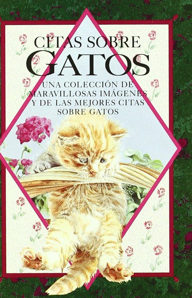 Portada de Citas Sobre Gatos