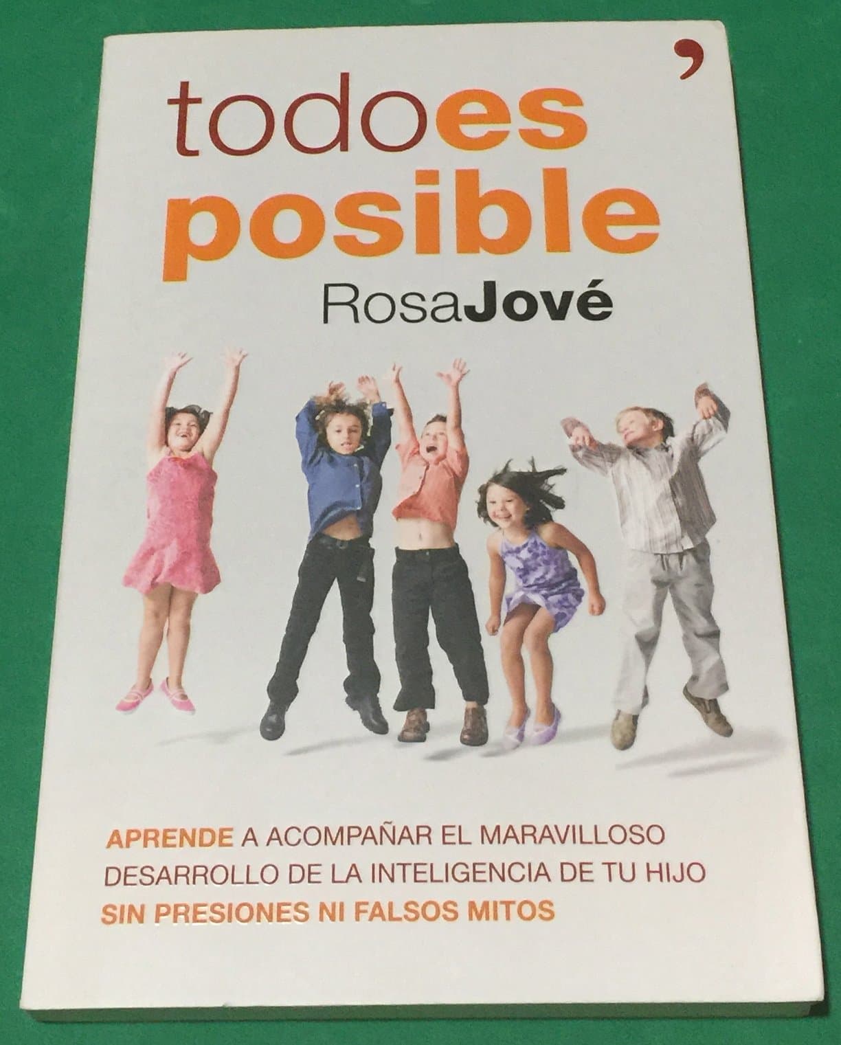 Portada de Todo es posible: Aprende a acompañar el maravilloso desarrollo de la inteligencia de tu hijo sin presiones ni falsos mitos (Vivir Mejor)