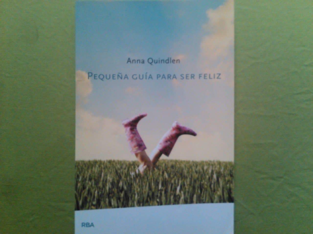 Portada de Pequeña guia para ser feliz
