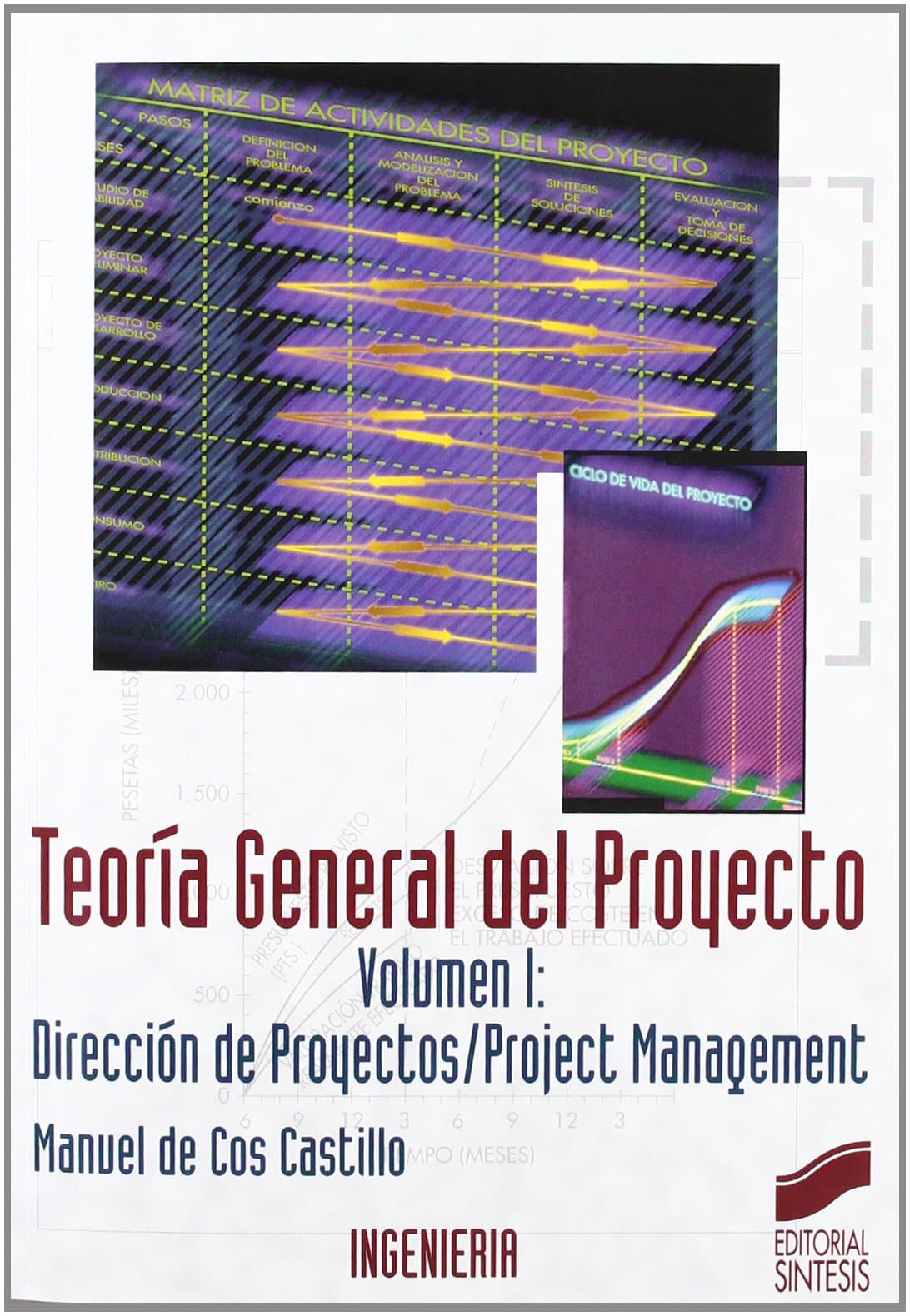 Portada de Teoría general del proyecto: 2 (Síntesis ingeniería. Ingeniería industrial)