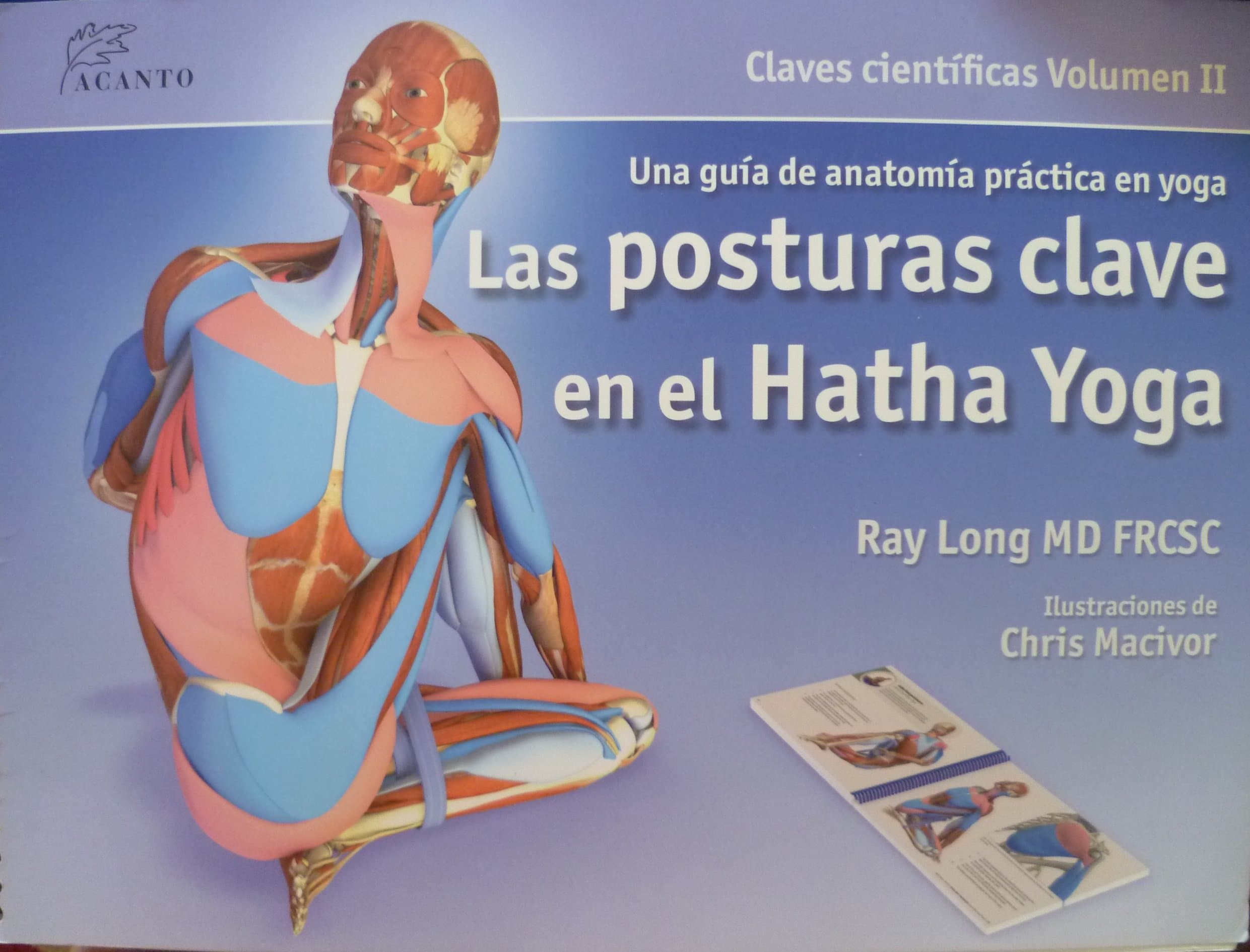 Portada de Las posturas clave en el hatha yoga (SIN COLECCION)