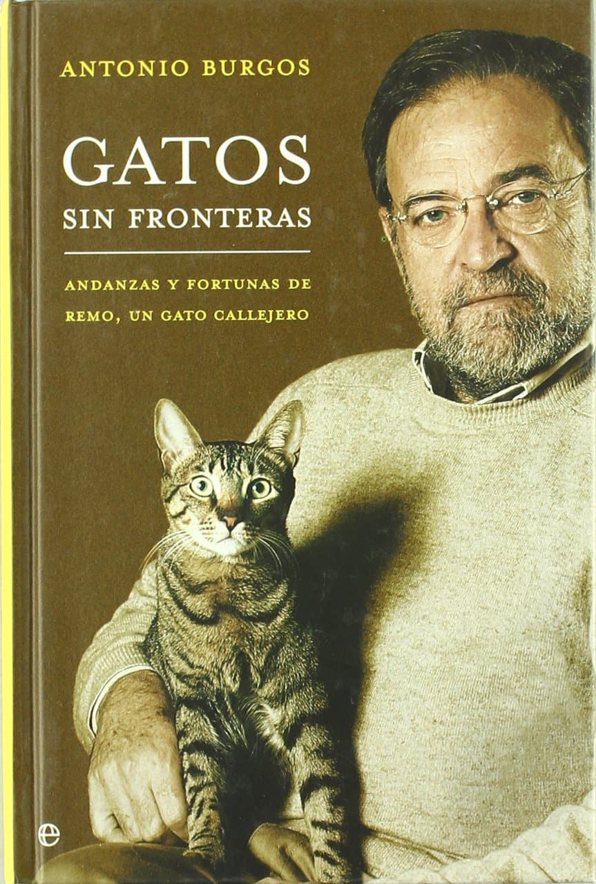 Portada de Gatos Sin Fronteras: Andanzas y Fortunas de Remo, Un Gato Callejero