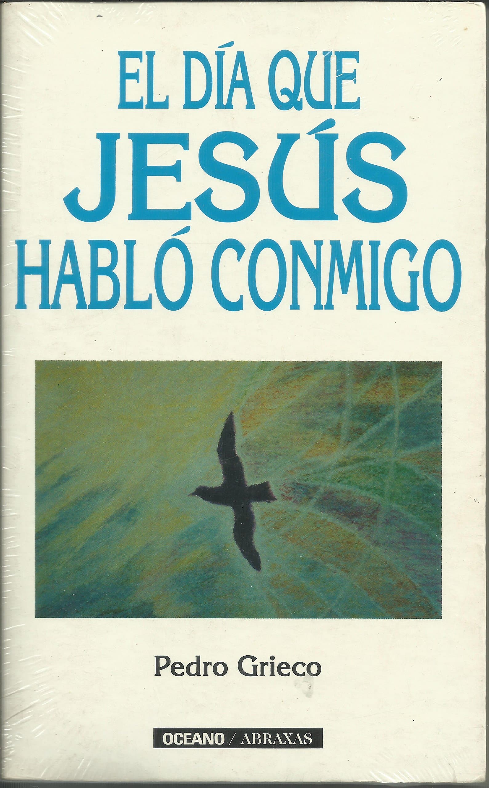 Portada de Dia Que Jesus Hablo Conmigo