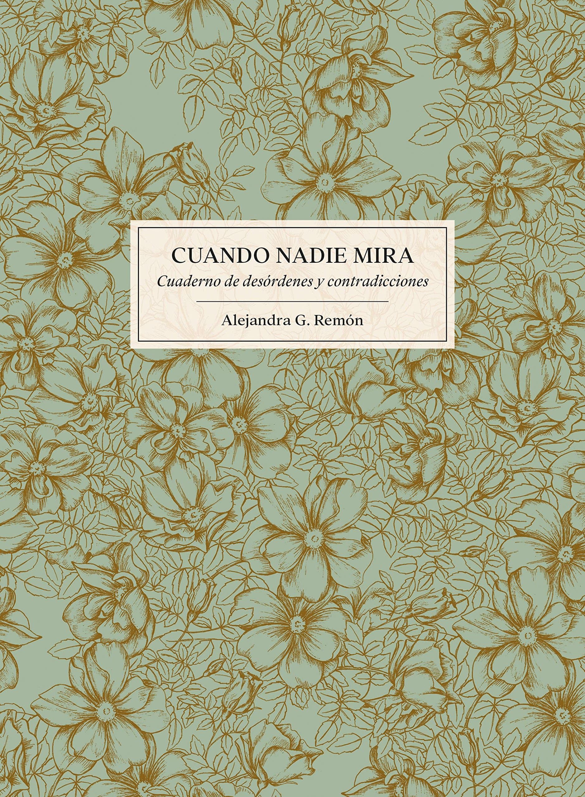 Portada de Cuando nadie mira: Cuaderno de desórdenes y contradicciones (Literatura ilustrada)